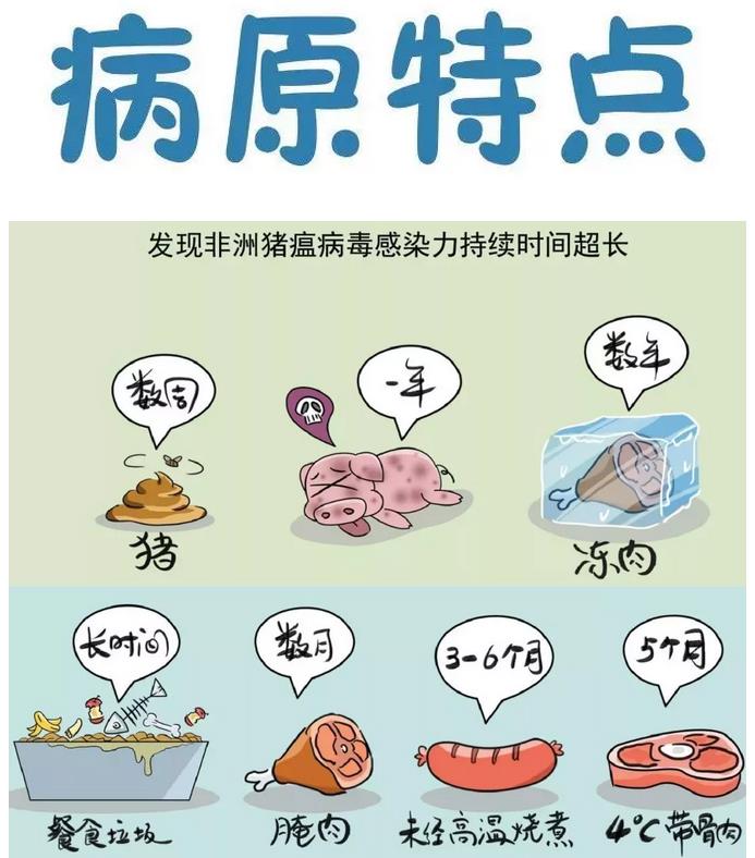 ӣڵ°ȷʶ